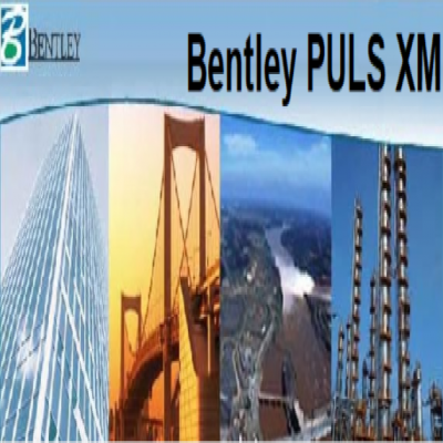 PULS管網(wǎng)脈動(dòng)分析軟件